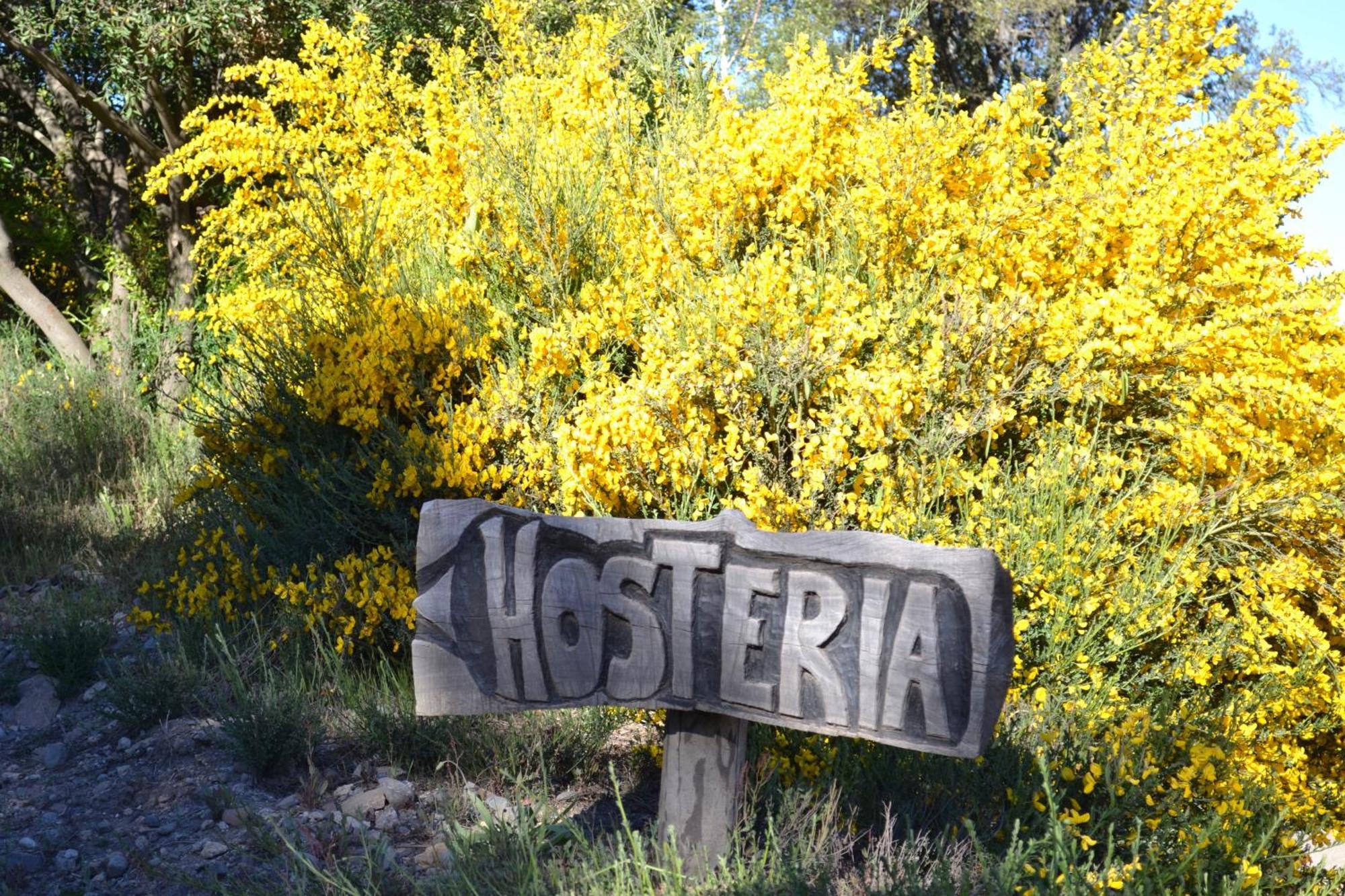 Sieteflores Hosteria De Montana San Martín de los Andes Dış mekan fotoğraf